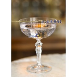 Lavender 'Oh! Lavender...