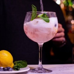 copy of Singlar Sour -...